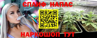 прущие грибы Малоярославец