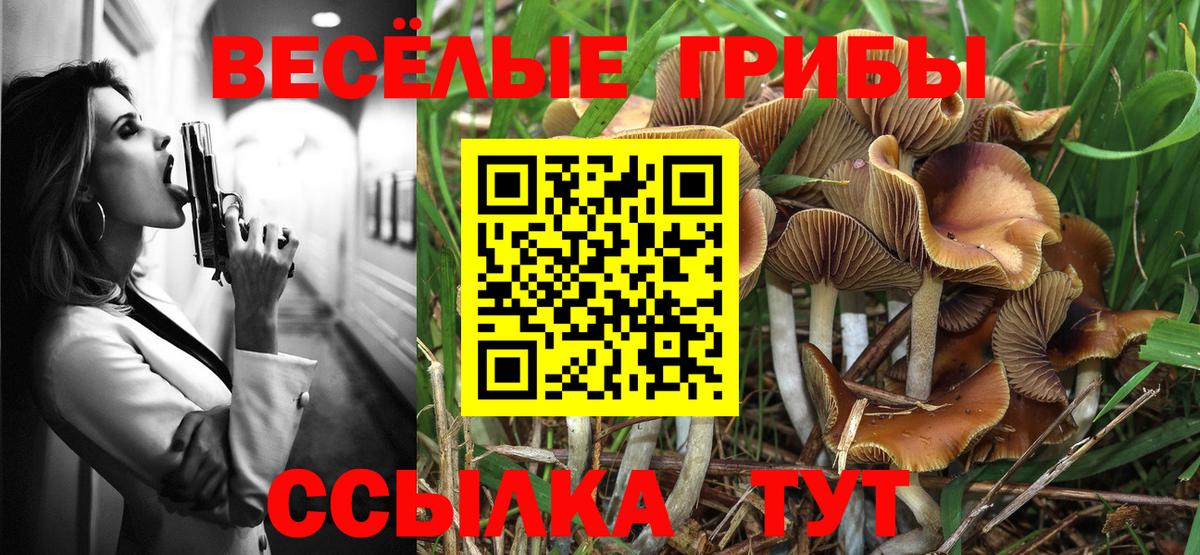 Ханты-Мансийск  Галлюциногенные грибы прущие грибы  Псилоцибиновые грибы Psilocybine cubensis  Вход с VPN 
