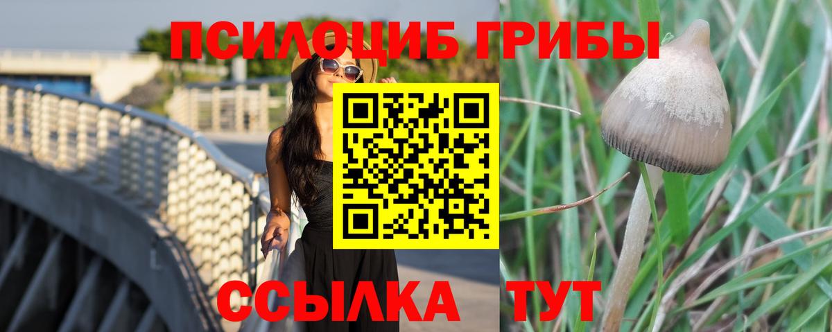 Галлюциногенные грибы Psilocybe Ханты-Мансийск
